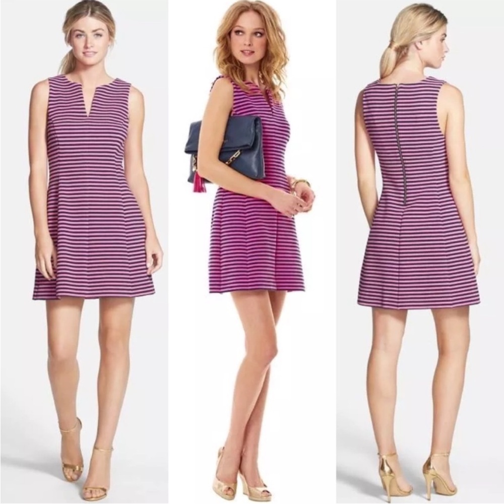Lilly Pulitzer Amberly Swing Dress in Hottie Pink and Navy Stripe Size Medium